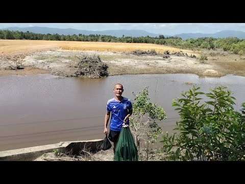 Setting up a mosquito net during the day is still bringing good luck.