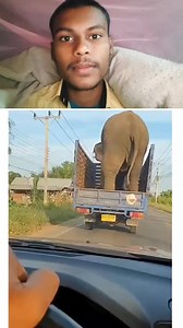 194K views · 1.6K reactions | Maa ma Hoti Hai yaar .. | BK Fact | Facebook