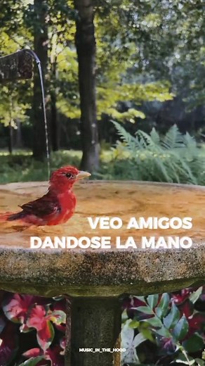 What a Wonderful World - Lyrics, Translation, and Meaning