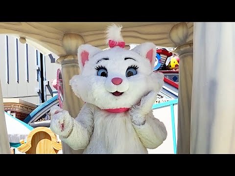 Marie in Mickey's Toontown, Distanced Meet and Greet Experience in Disneyland After Park Reopening