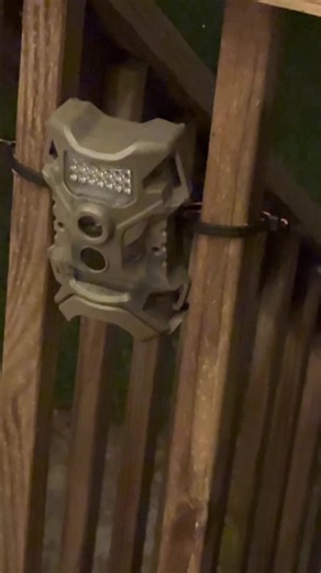 We set up a camera to catch whoever was raiding the trash. We expected a raccoon not a tiny puppy trying to find his next meal. 😟 The trap didn’t work. The camera gave up, too. But we kept trying, and by the end of the night, this little wanderer was safe. 💜🐾 #PuppyRescue #RescueDog #SecondChance #AnimalRescue #DogTok