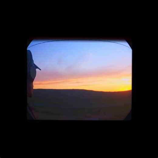 Random Server l Alone time.🎥📺 A frequency by Ty Dolla $ign & SZA | Cam Siphamandla