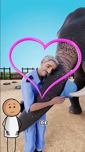 The Elephant and Her Guardian 🐘❤️. #funfacts #didyouknow #curiousfacts #history #story #elephant