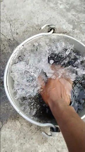 🧼🧼Những Vật Dụng Đa Năng & Tiện ích Trong Đời Sống Hiện Đại #1231