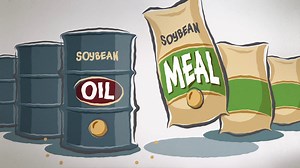 🌱 After harvest, soybeans are transformed into oil and meal. 🏭 Through checkoff and industry collaboration, farmers boost productivity and processing capacity to support global demand, adding more soybean value every step of the way! #SoybeanJourney #innovation #SustainableAgriculture #southdakota | SD Soybean