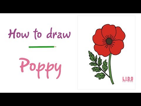 How to Draw Poppy 🌸 Easy Drawing for Kids and Beginners Step by Step Tutorial #lidoartworks