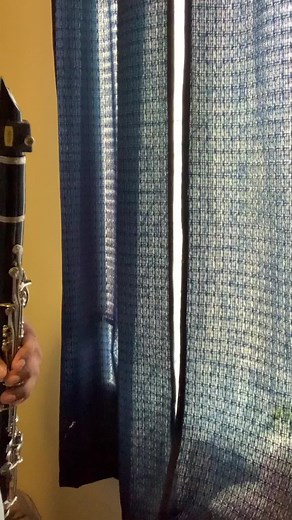 Married life #marriedlife 👫👩‍❤️‍💋‍👨🧎🏼‍♀️‍➡️#unaaventuradealtura #clarinete #solosdeclarinete #tutorial #clarinet #clarinetesolo #upunaaventuradealtura