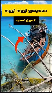 42K views · 3K reactions | Walking trees found out#walkingtrees | Antony M | Facebook