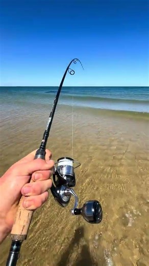 Dumped 250m of braid in no time at all, unstoppable beach GT absolutely cooked my light set up. #gt