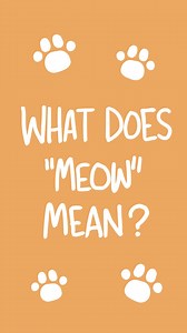 30K views · 484 reactions | What does "meow" mean? #animation #cat #meow | Channelate | Facebook