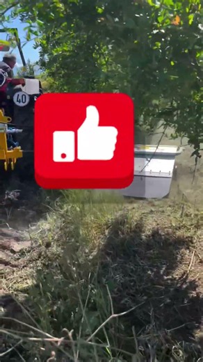 [Do-Tal-Nam] The Ultimate Weed-Whacking: Raking, Cutting, Pulling, and a War Against the Grass, M...