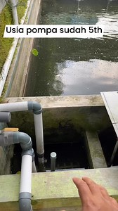 63K views · 682 reactions | Usia pompa sudah 5 th untuk sirkulasi kolam 24 jam nonstop - Budidaya ikan nila sistem RAS | Beni Erwan | Facebook