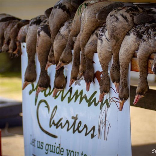 Another Teal Season in the books! #SportsmanCharters 🎥 AB Films | Sportsman Charters, LLC. | Facebook