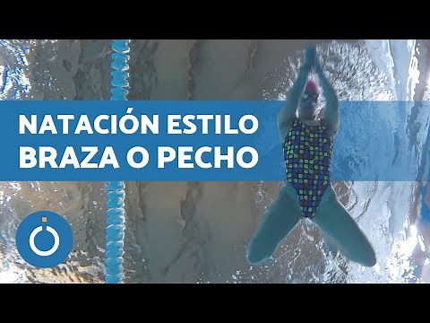 Estilo PECHO o BRAZA NATACIÓN 🏊🏼‍♂️ Nadar Braza Correctamente