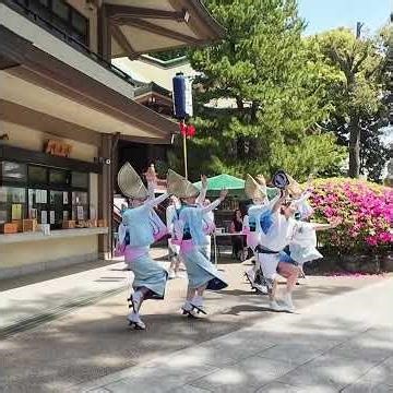 かつしか青藍連の阿波踊り #葛飾クラシックカー&スポーツカーフェスティバル 2026/4/26 #金町 #葛西神社 #クラシックカー #男はつらいよ #阿波おどり #阿波踊り #祭り