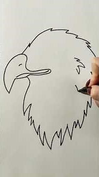 Easy sketch an eagle 🦅