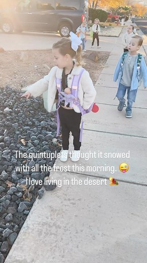 Jamie Scott on Instagram: "The Quintuplets crack me up sometimes 藍 . We woke up to frost on the ground this morning as well as my van that was all frosted over. They thought it had snowed. ❄️❄️❄️ Living in the desert we aren’t too familiar with what that looks like! ️"