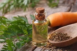 Real benefits of carrot oil for skin and hair