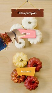 382 reactions · 134 shares | Learn, play, & have all kinds of fall fun at CAMP by Walmart | eko | Facebook