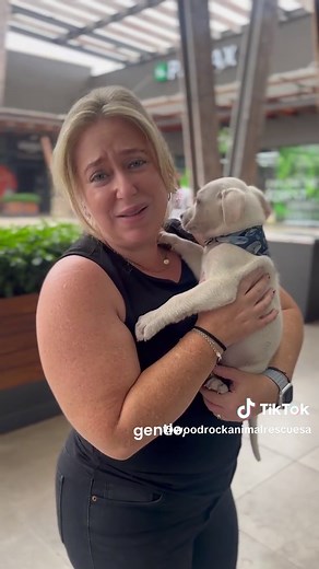 Adopt Mr. Rocco: The Adorable Rescue Puppy