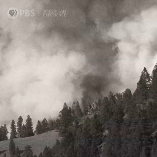 "Fire is the last wild element of the west." Explore the wildfire that changed America's landscape—and it's approach to its natural wonders—forever. Stream THE BIG BURN now on YouTube and the @PBS app. → https://www.youtube.com/watch?v=zukk61FXUpY | American Experience | PBS
