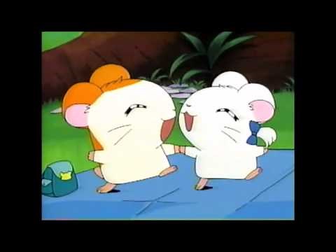 Hamtaro AMV- Raining Sunshine