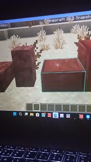 nya block i minecraft?
