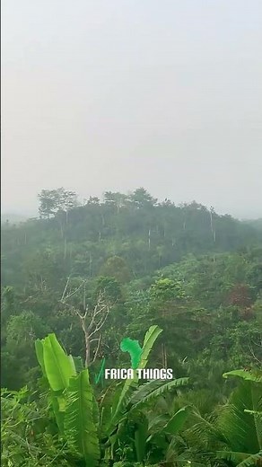 Mystical Forest Around Lake Bosomtwe 🇬🇭 | Ghana’s Hidden Paradise 🌿