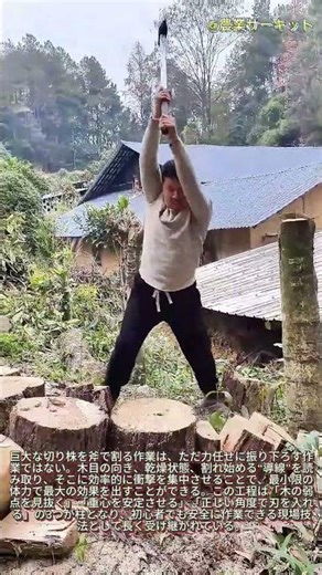 簡単なテクニック：斧で大きな木の切り株を効果的に割る方法