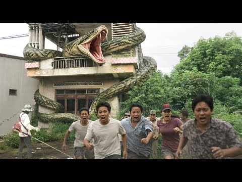 Time-Lapse: Giant Anaconda Found in Abandoned House | From Cleanup to Chaos 😱