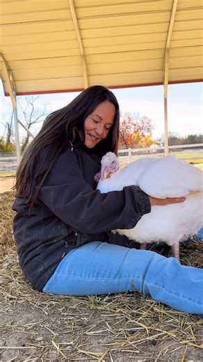 291K views · 10K reactions | Nothing quite like a turkey cuddle  Settle in close, snuggle up, and feel them gently relax in your arms knowing they are safe. They’re soft, sweet, and full of personality, proof that turkeys are so much more than the world ever lets them be. | The Gentle Barn | Facebook