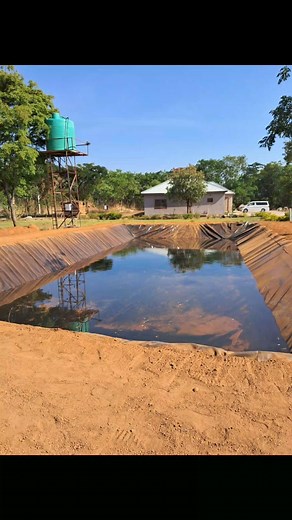 50 reactions | Our first site done in Kalulushi and now doing the second site. Contact us if you need ponds done by us on 0978979035 | Mukasa Fish Farm | Facebook