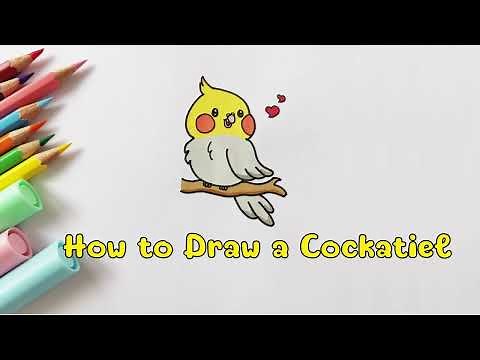 How To Draw A Cartoon Cockatiel Easy | Bird Drawing For Beginners | How to Draw Bird Step By Step