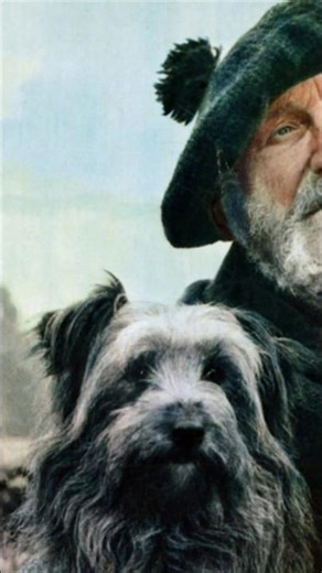Greyfriars Bobby: The Dog Who Waited 14 Years