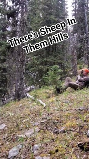 They are out there! #thebakeradventures #shorts #hunting