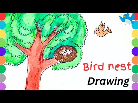 Bird nest and tree Drawing || Easy bird nest drawing || tree drawing easy || Story drawing