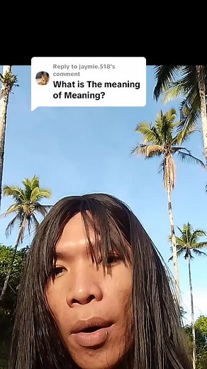 Understanding the Concept of Meaning