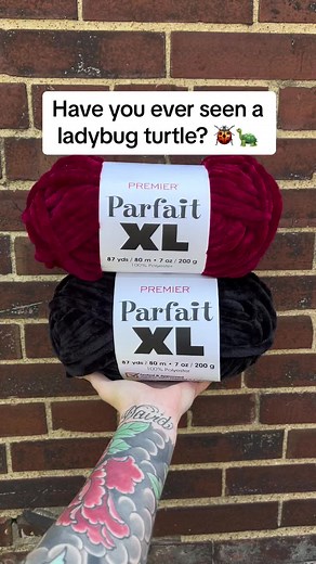 Ladybug Turtle Crochet Pattern | Free Mods Included
