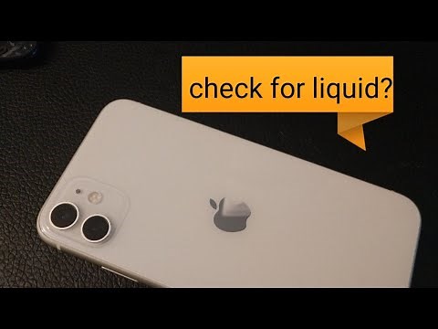 iPhone 11 pro How to check for water damage indicator