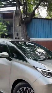 Thalapathy Vijay's Brand New Car - Luxus LM Actor Vijay 👑❤️‍🔥 | Mohan Raj