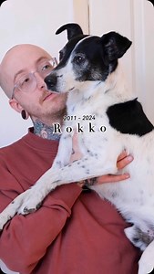 49K views · 759 reactions |  Rokko  Mein erster eigener Hund und...