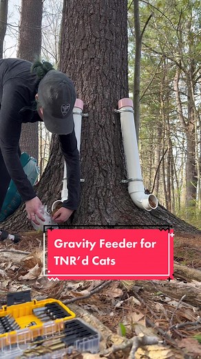 DIY Gravity Feeder for Feral Cats