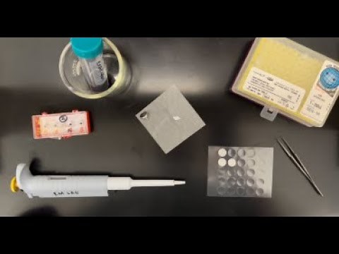 Preparing a Sample for SEM Analysis that is Dispersed in a Liquid