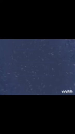 ももかとるかちの楽しい思い出