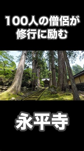【福井旅】禅の世界。約100人の修行僧が暮らす『永平寺』