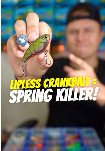 Spring Trap Fishing Techniques for Bass