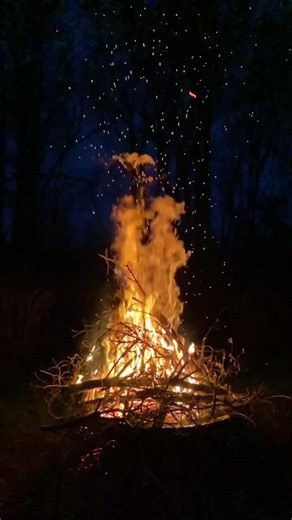 #Court🧿of🧿Owls #Lords_of_Egypt #sanctuary⚕️of⚕️Egypt #guardians_of_egypt🏹 #sands_of_egypt⏳