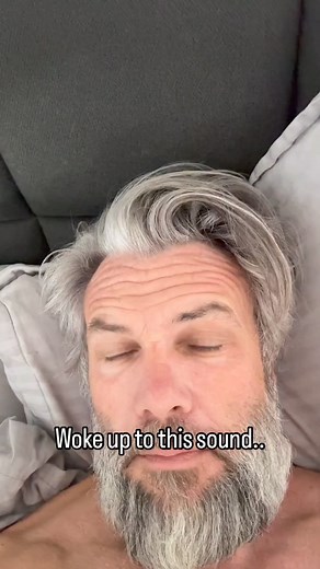 158K views · 4.4K reactions | 藍藍藍藍藍 | Meet my cat | Facebook