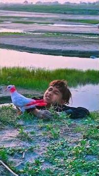 তুফান বন্ধু তুই আমাকে বাচ্চা🕊️♥️ #tending #tiktok #love #কবিতর#পায়রা#viralvideo#animals#pigeon