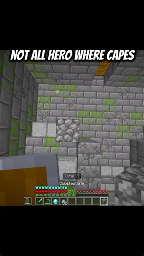 Not All Heros Where Capes ... 🥶 #minecraft #minecraftmemes